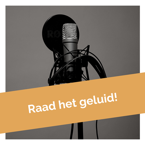 1.10 Raad het geluid!